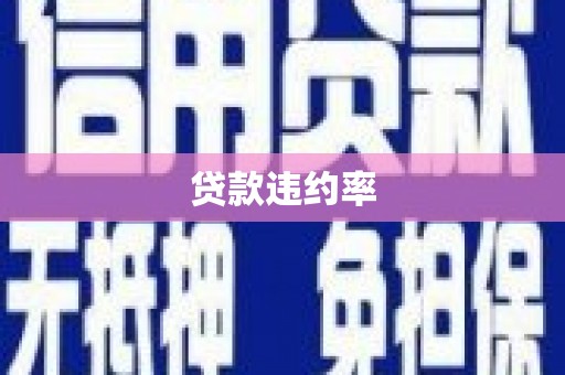 治多贷款违约率