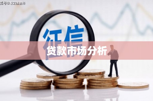 治多贷款市场分析