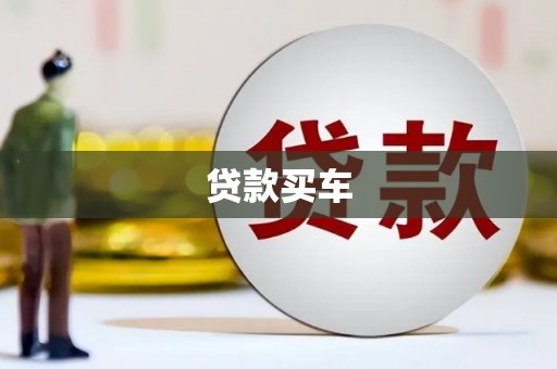 治多贷款买车
