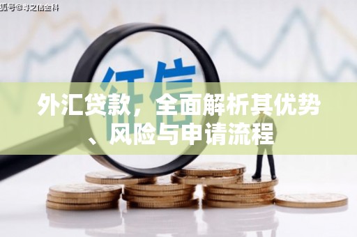 治多外汇贷款，全面解析其优势、风险与申请流程
