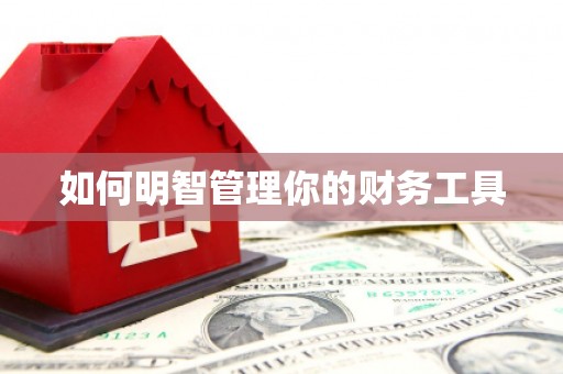 治多如何明智管理你的财务工具