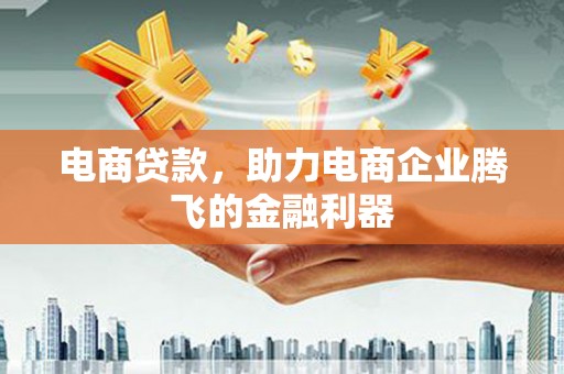 治多电商贷款，助力电商企业腾飞的金融利器