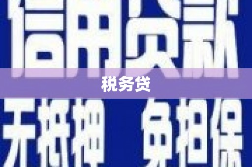 治多税务贷