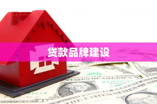 治多贷款品牌建设