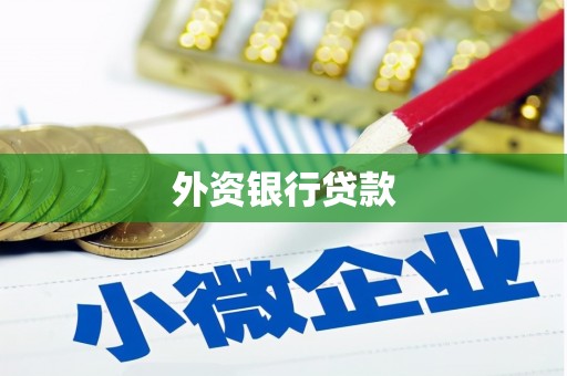 治多外资银行贷款