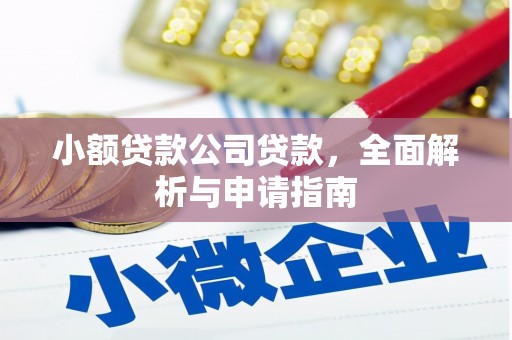 治多小额贷款公司贷款，全面解析与申请指南
