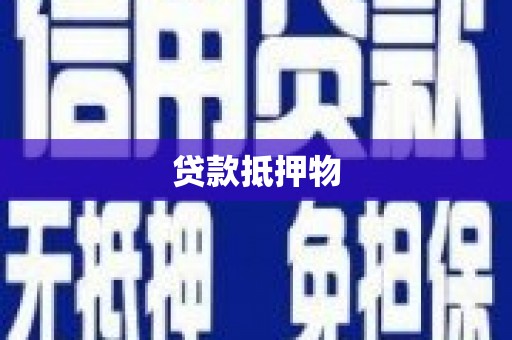 治多贷款抵押物
