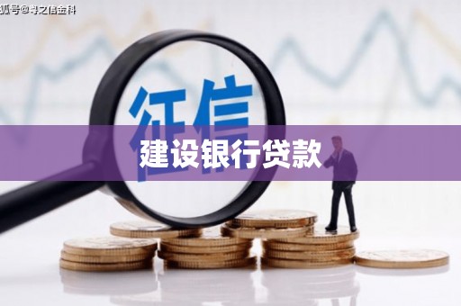 治多建设银行贷款
