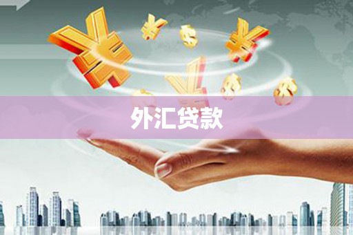 治多外汇贷款
