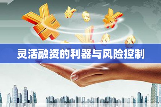 治多灵活融资的利器与风险控制