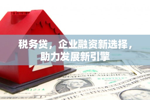 治多税务贷，企业融资新选择，助力发展新引擎