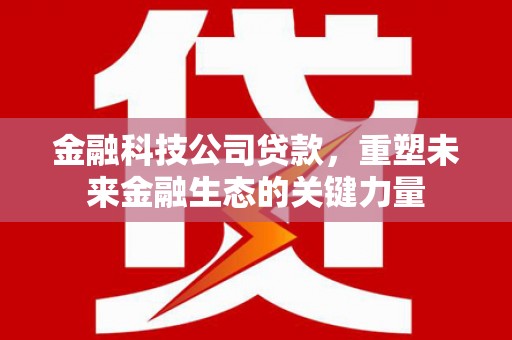 治多金融科技公司贷款，重塑未来金融生态的关键力量