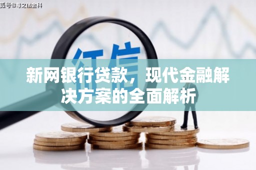 治多新网银行贷款，现代金融解决方案的全面解析