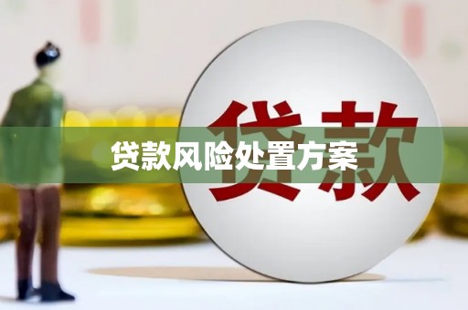 治多贷款风险处置方案