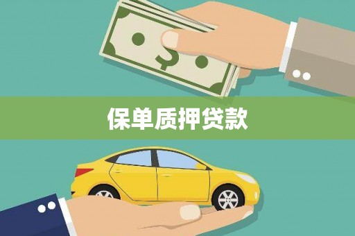 治多保单质押贷款