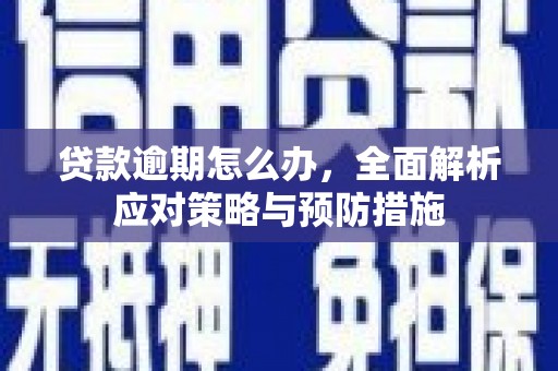 治多贷款逾期怎么办，全面解析应对策略与预防措施