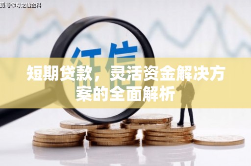治多短期贷款，灵活资金解决方案的全面解析