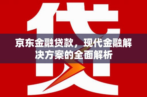 治多京东金融贷款，现代金融解决方案的全面解析