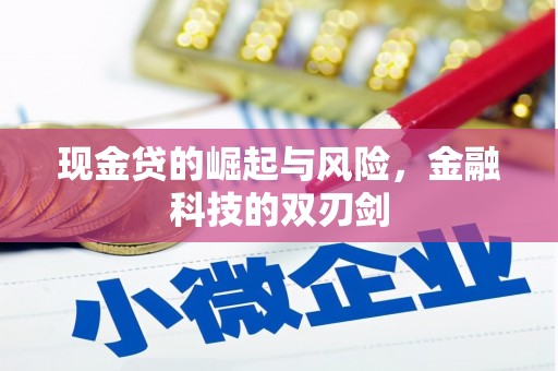 治多现金贷的崛起与风险，金融科技的双刃剑