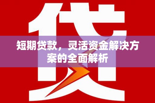 治多短期贷款，灵活资金解决方案的全面解析