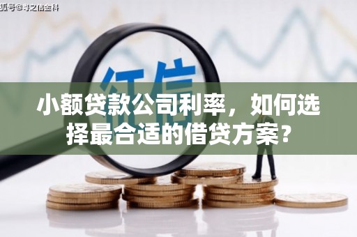 治多小额贷款公司利率，如何选择最合适的借贷方案？