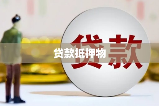 治多贷款抵押物