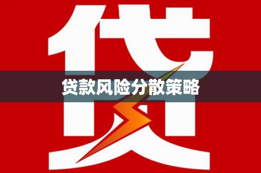 治多贷款风险分散策略
