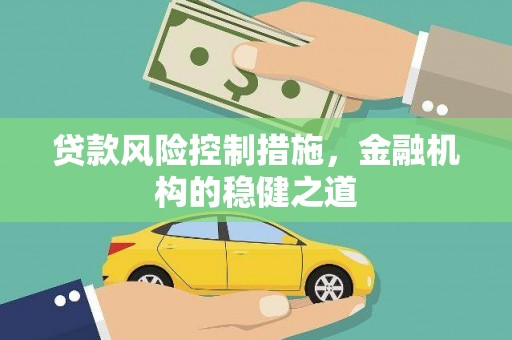 治多贷款风险控制措施，金融机构的稳健之道