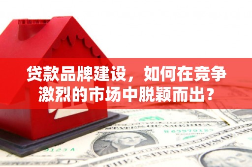 治多贷款品牌建设，如何在竞争激烈的市场中脱颖而出？