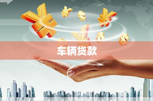 治多车辆贷款