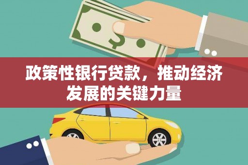 治多政策性银行贷款，推动经济发展的关键力量