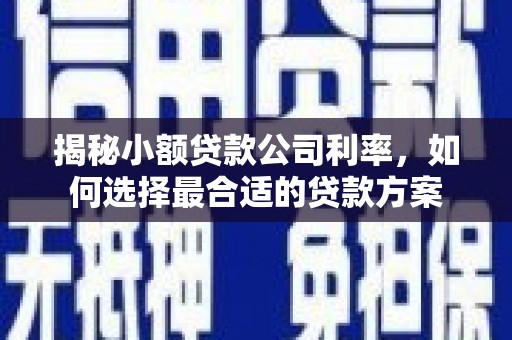 治多揭秘小额贷款公司利率，如何选择最合适的贷款方案
