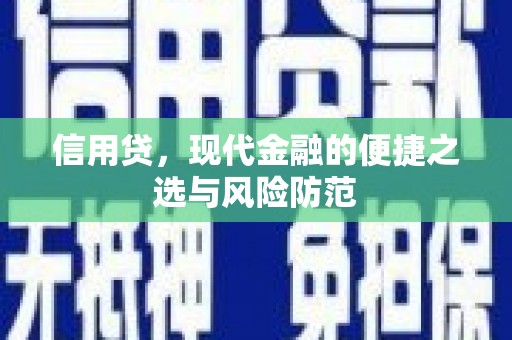 治多信用贷，现代金融的便捷之选与风险防范