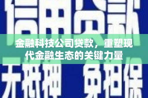 治多金融科技公司贷款，重塑现代金融生态的关键力量