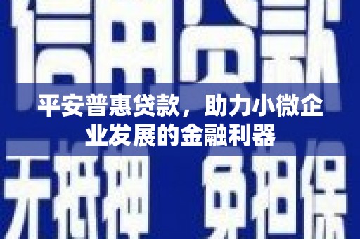 治多平安普惠贷款，助力小微企业发展的金融利器