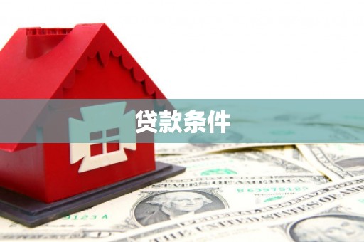 治多贷款条件