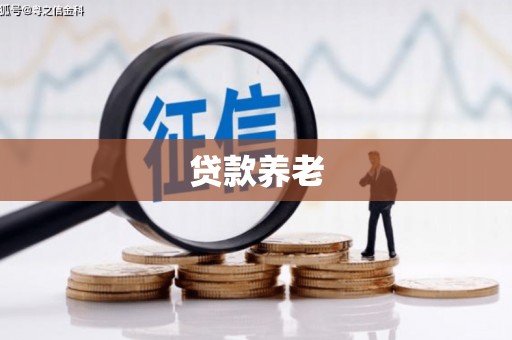 治多贷款养老