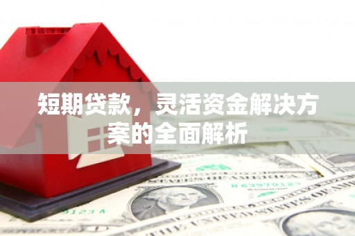 治多短期贷款，灵活资金解决方案的全面解析