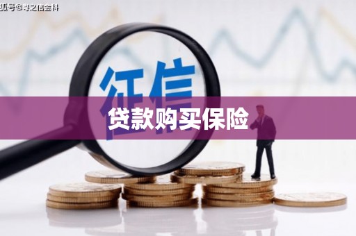 治多贷款购买保险
