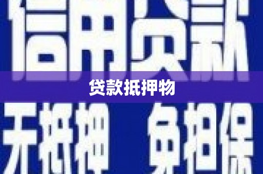 治多贷款抵押物