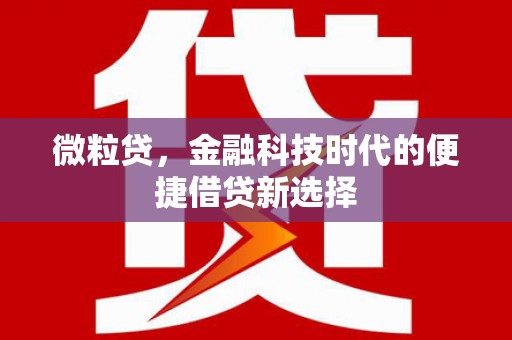 治多微粒贷，金融科技时代的便捷借贷新选择