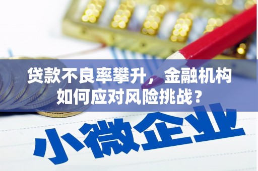 治多贷款不良率攀升，金融机构如何应对风险挑战？
