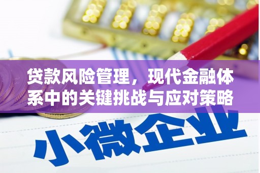 治多贷款风险管理，现代金融体系中的关键挑战与应对策略