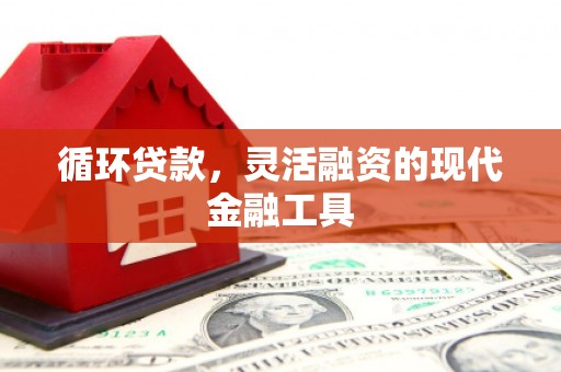 治多循环贷款，灵活融资的现代金融工具