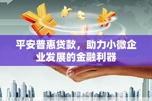 治多平安普惠贷款，助力小微企业发展的金融利器