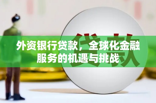 治多外资银行贷款，全球化金融服务的机遇与挑战