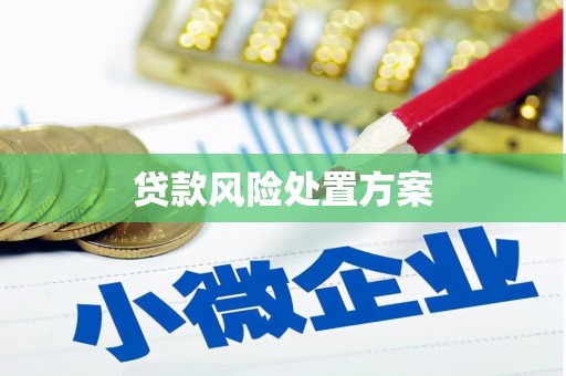 治多贷款风险处置方案
