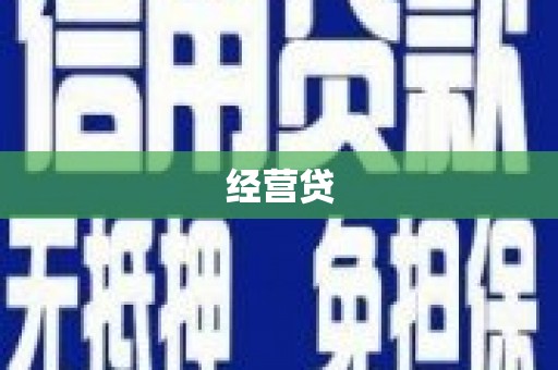 治多经营贷