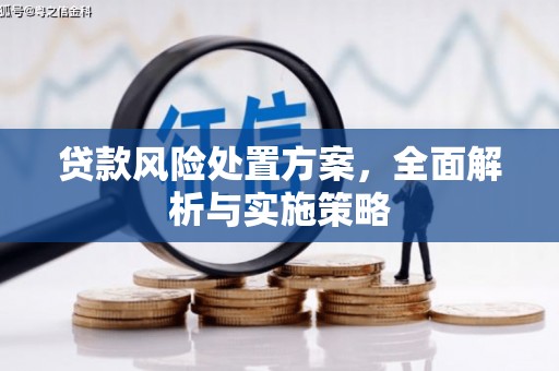 治多贷款风险处置方案，全面解析与实施策略