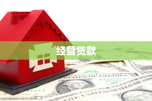 治多经营贷款